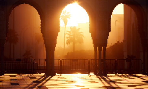 الصورة المصغرة للدورة